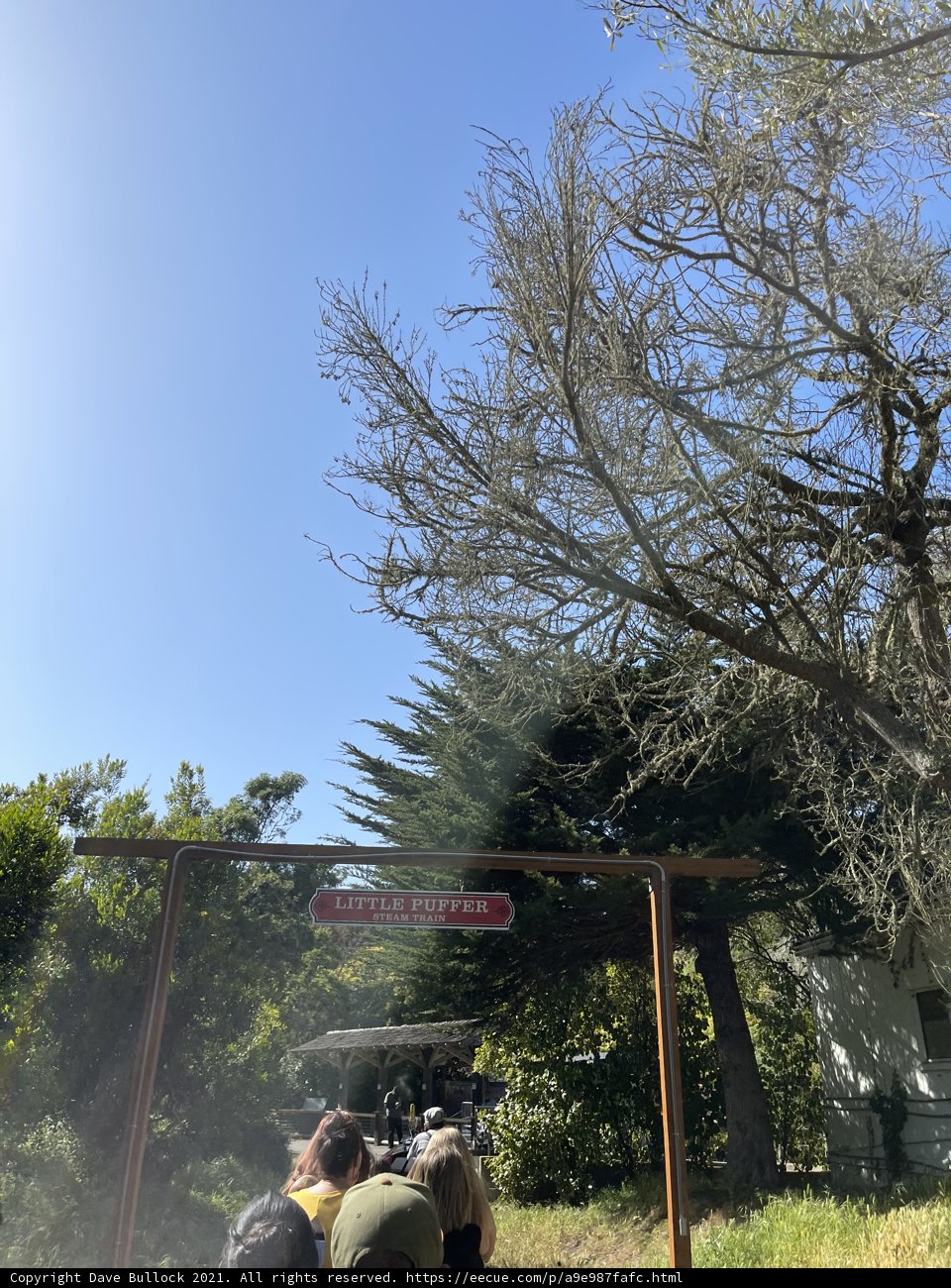 Nature and Company