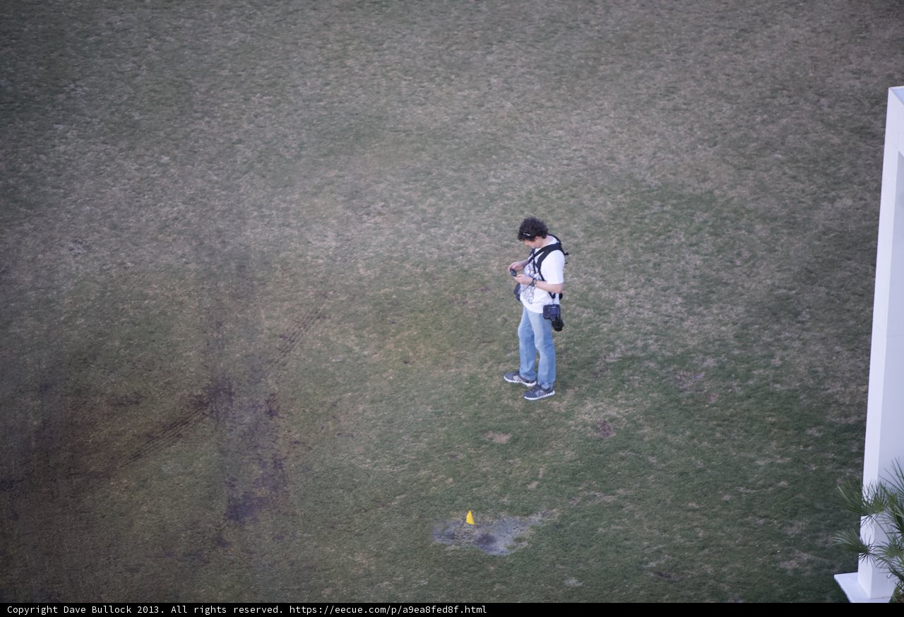 Checking his phone on the grass