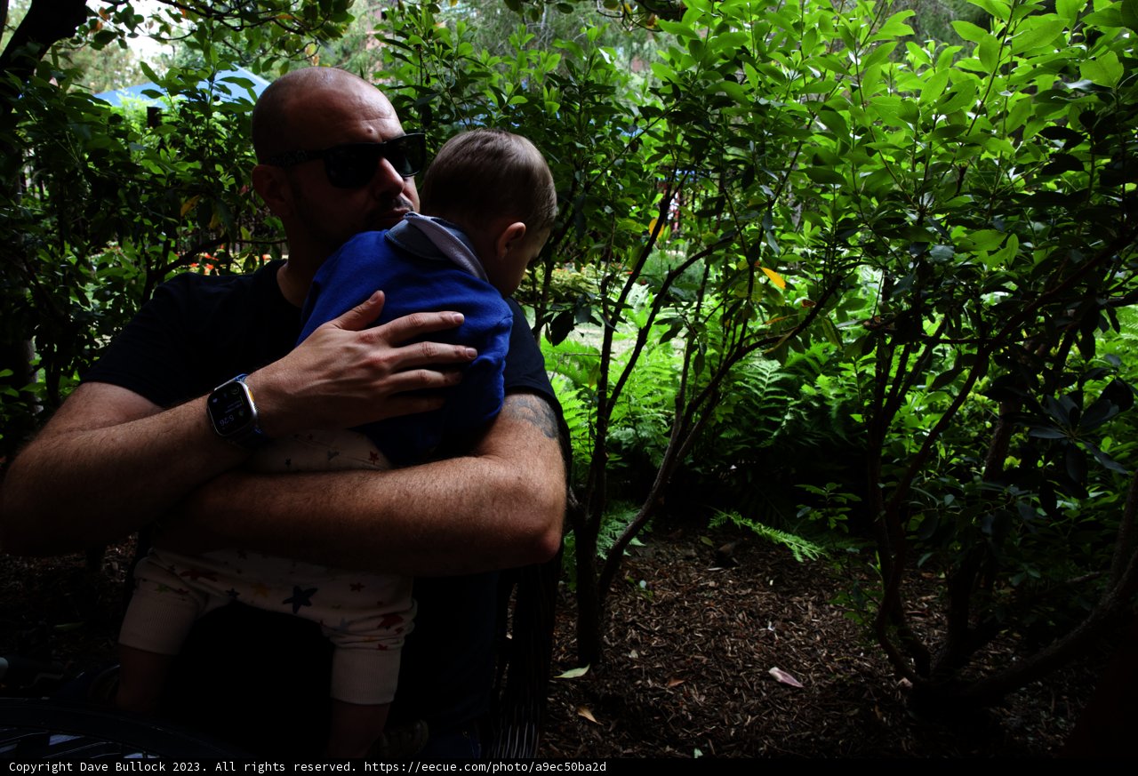 Warm Embrace in Nature's Wonderland