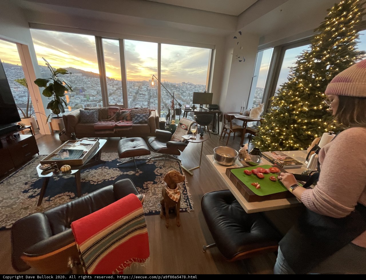 Christmas Cheer in a San Francisco Living Room