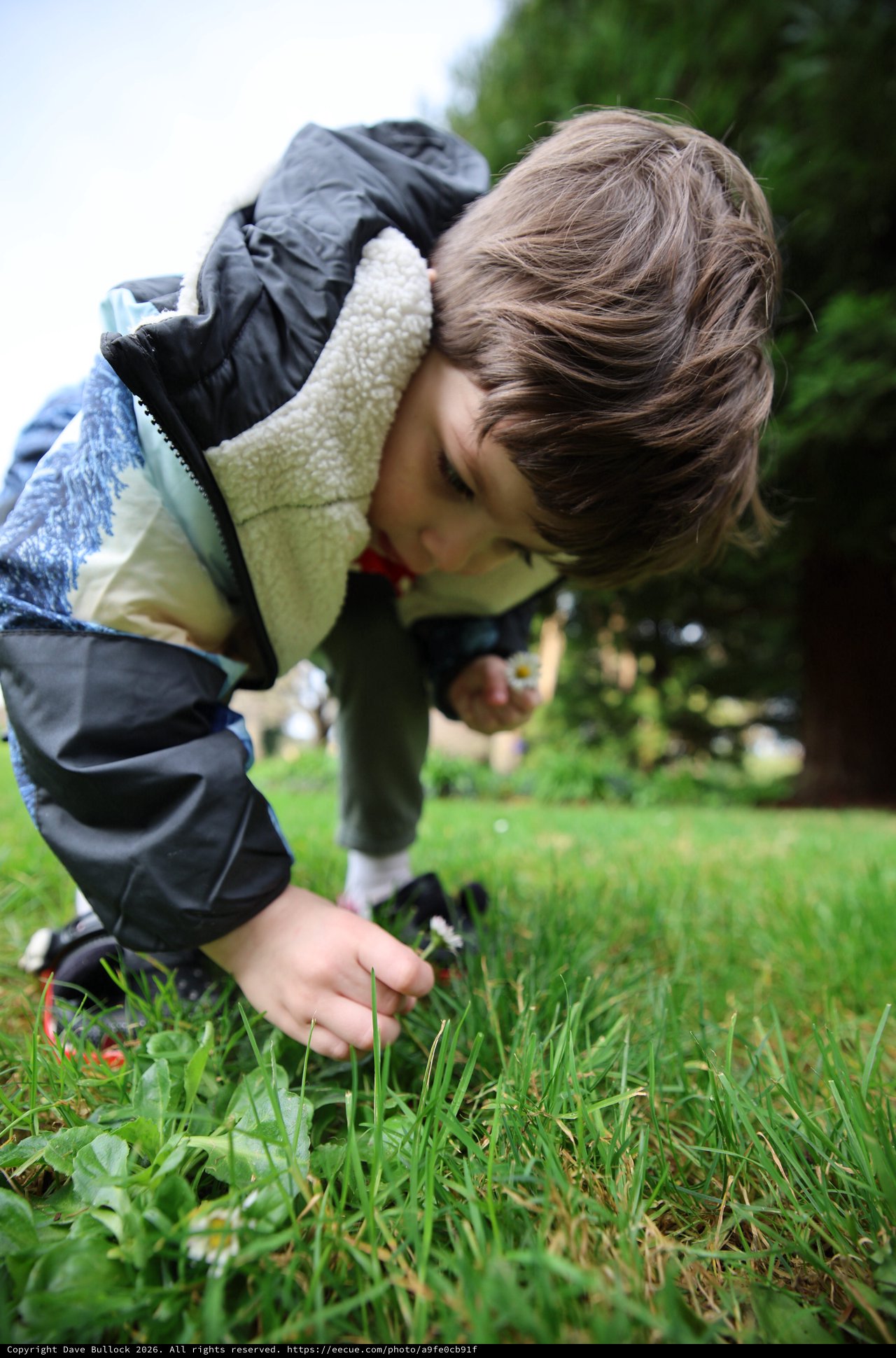 Child Discovering Nature in Park Exploration