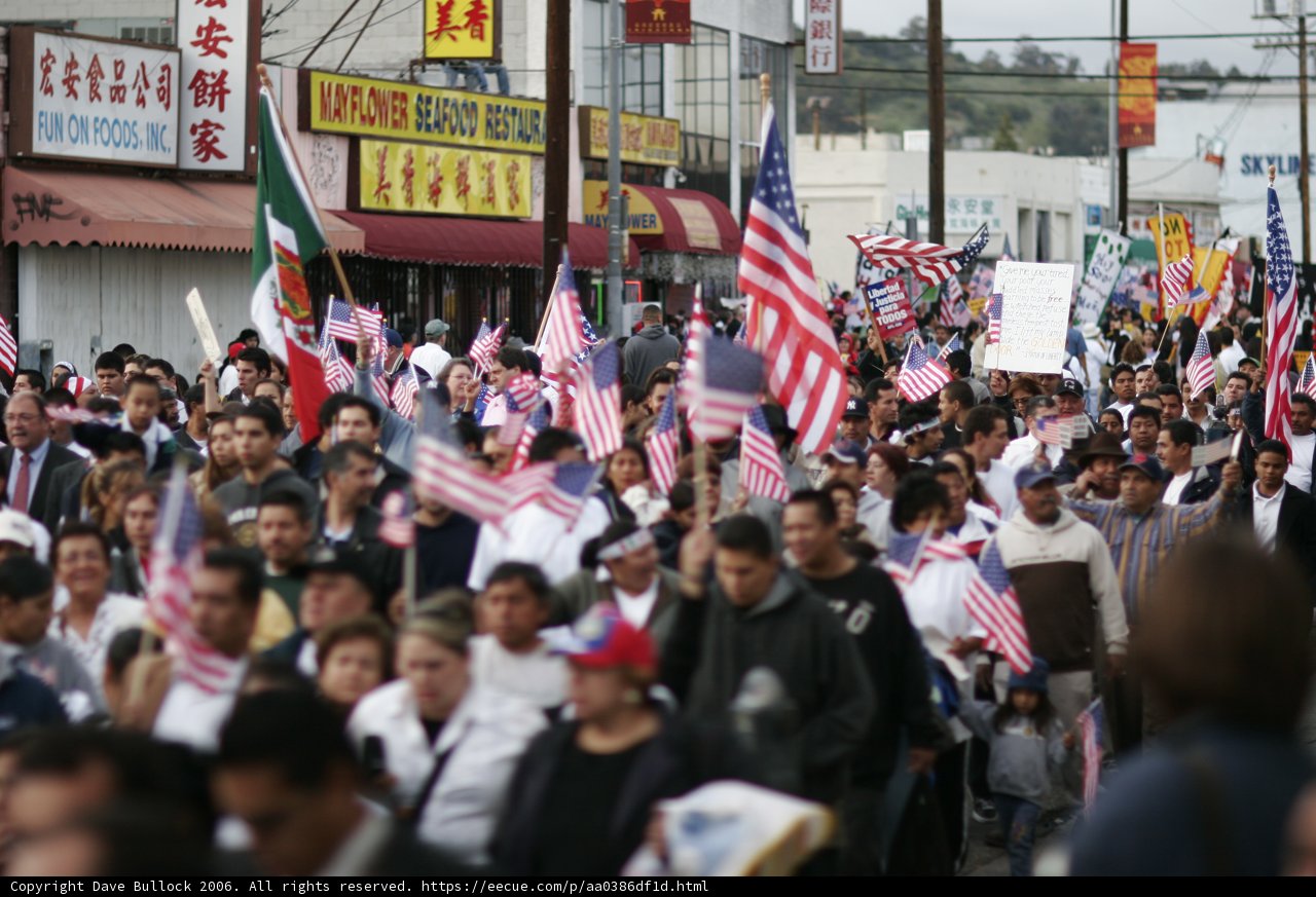 Patriotic Crowd
