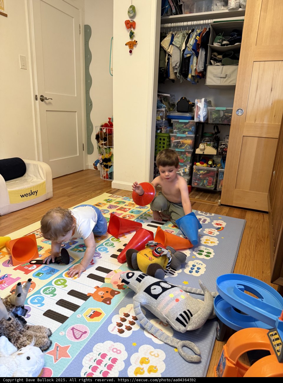 Playful Discoveries