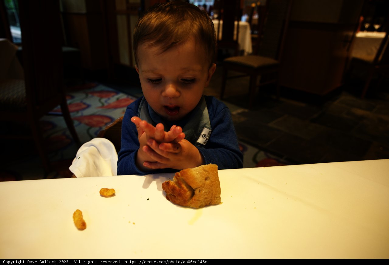 Delightful Dining at Disneyland