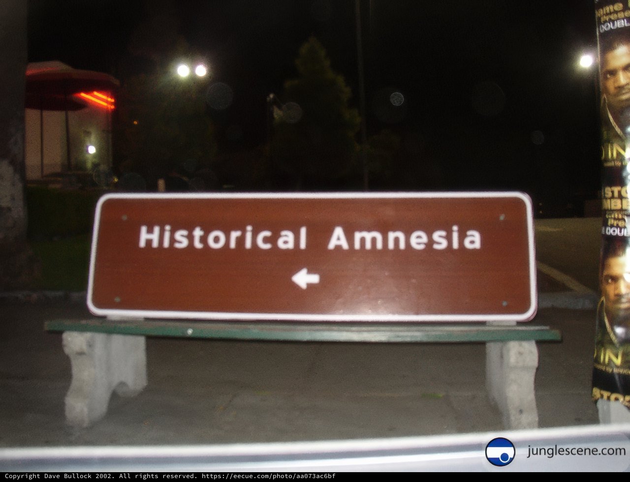 Reflection on Historical Amnesia