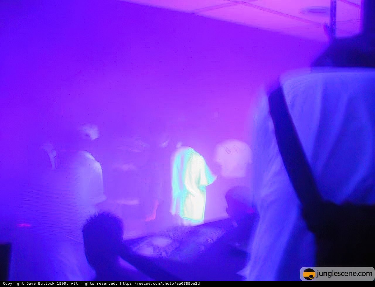 Purple Haze at the Night Club