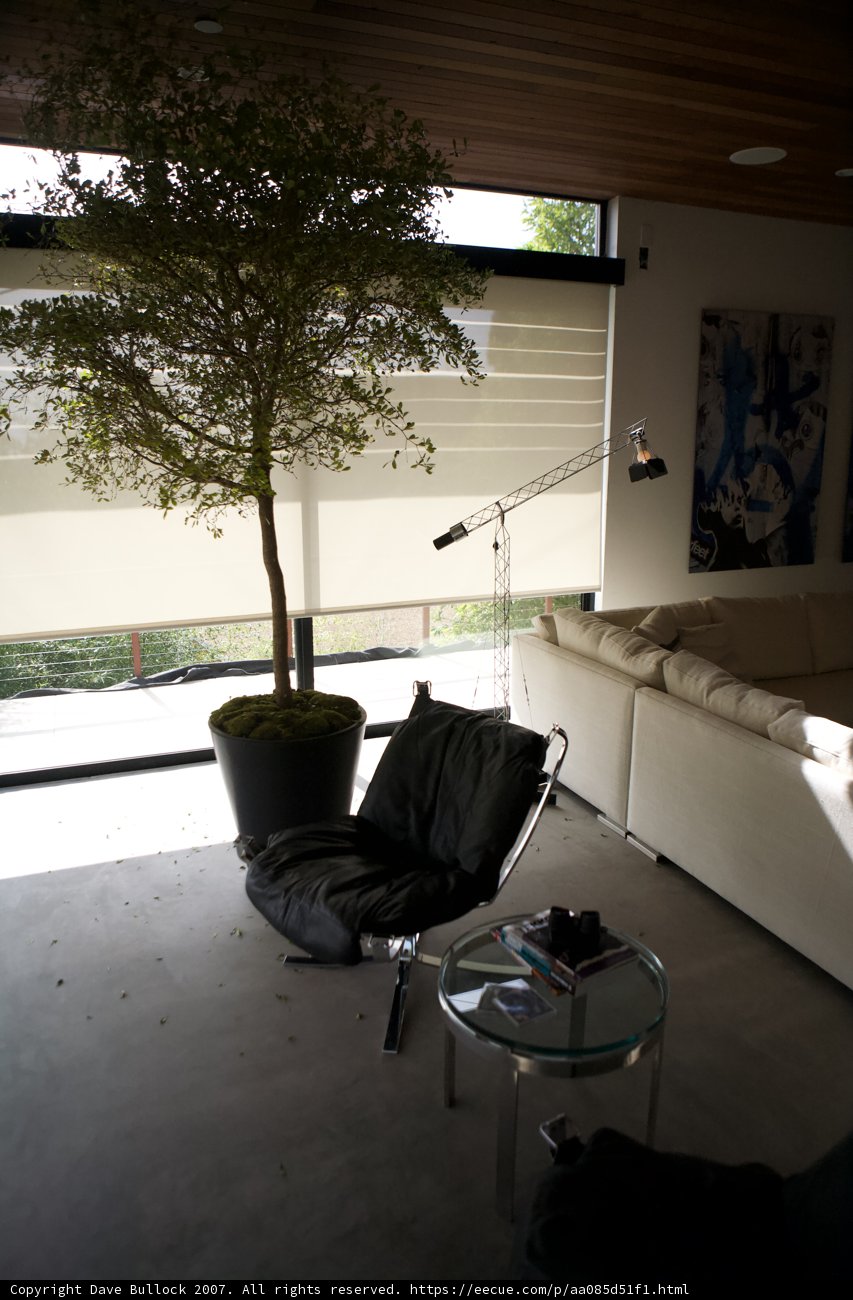 Cozy Living Room with a Nature Touch