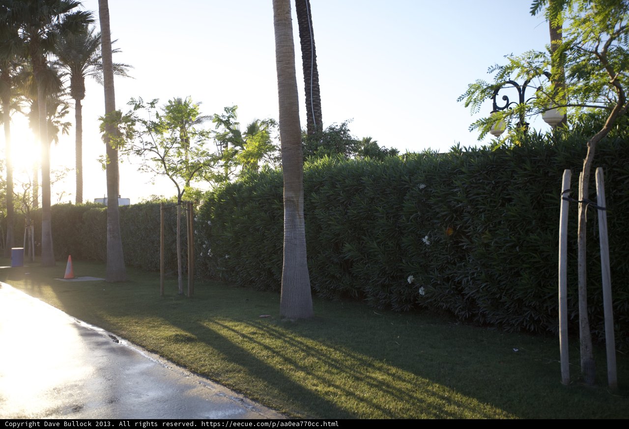 Strolling Through Paradise