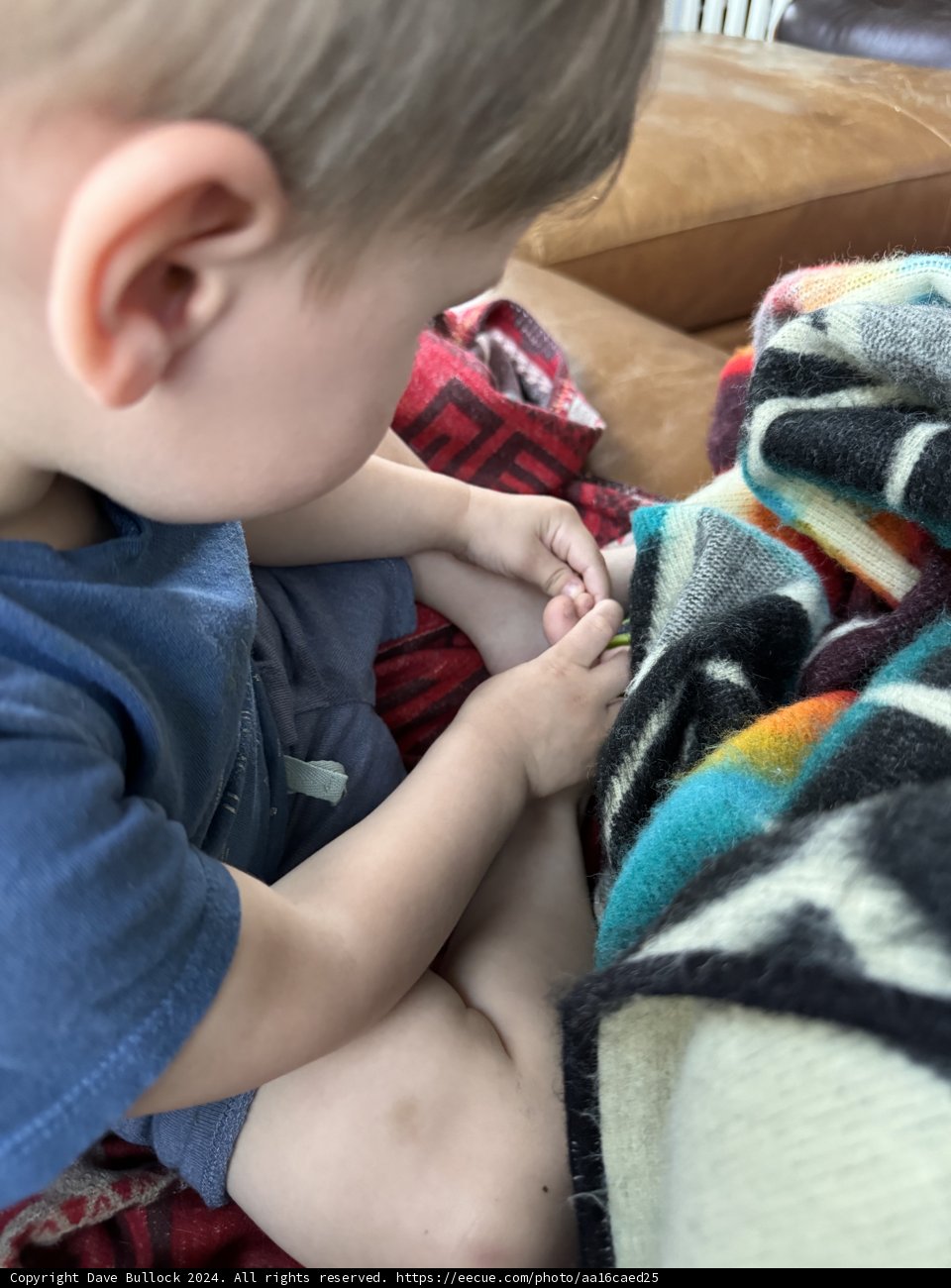 Cozy Moments at Home