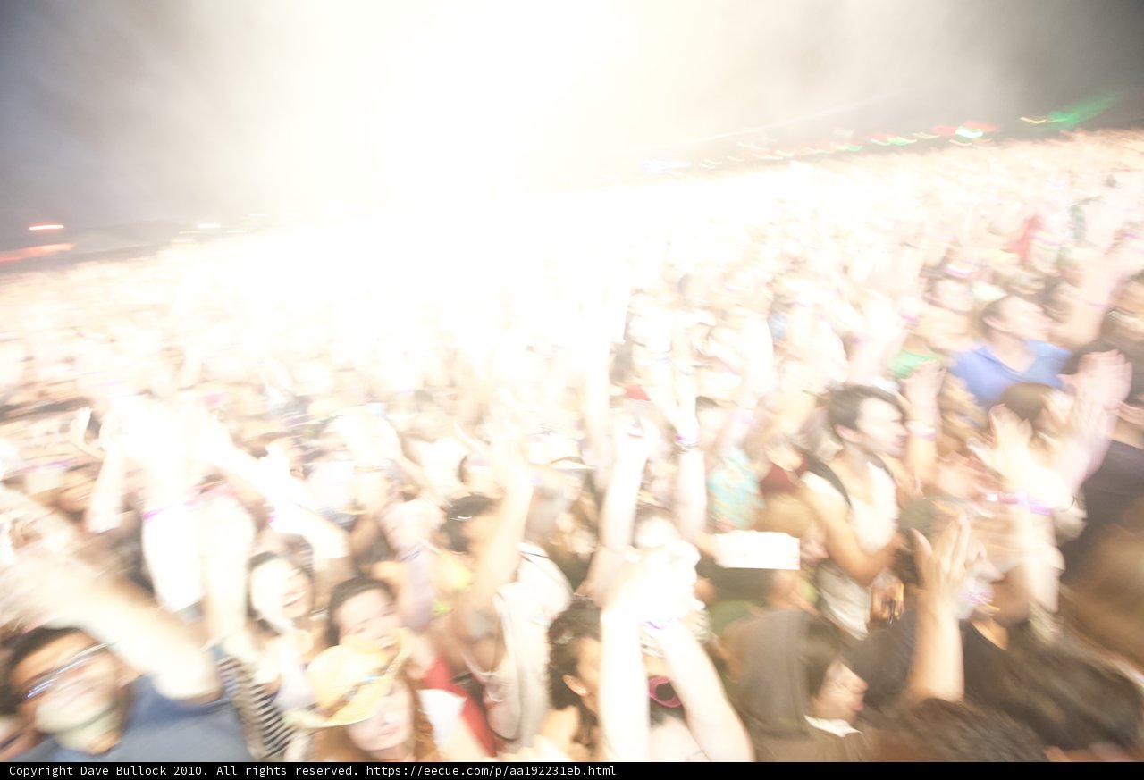 Euphoria at the Concert