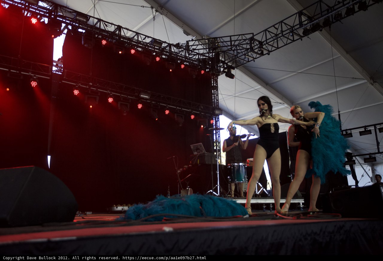 Feathered Performer Takes Center Stage