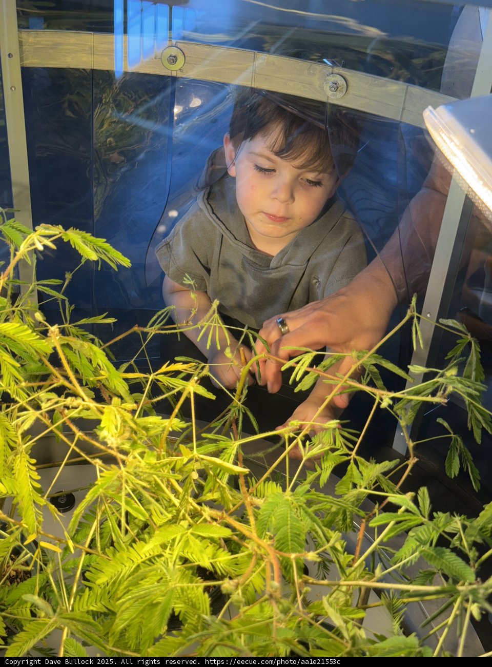 Curious Minds in the Greenhouse
