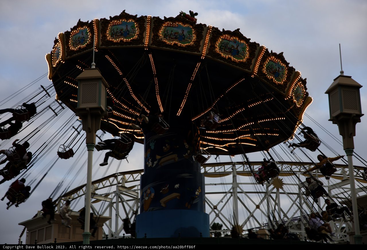 Magical Moments at Disneyland