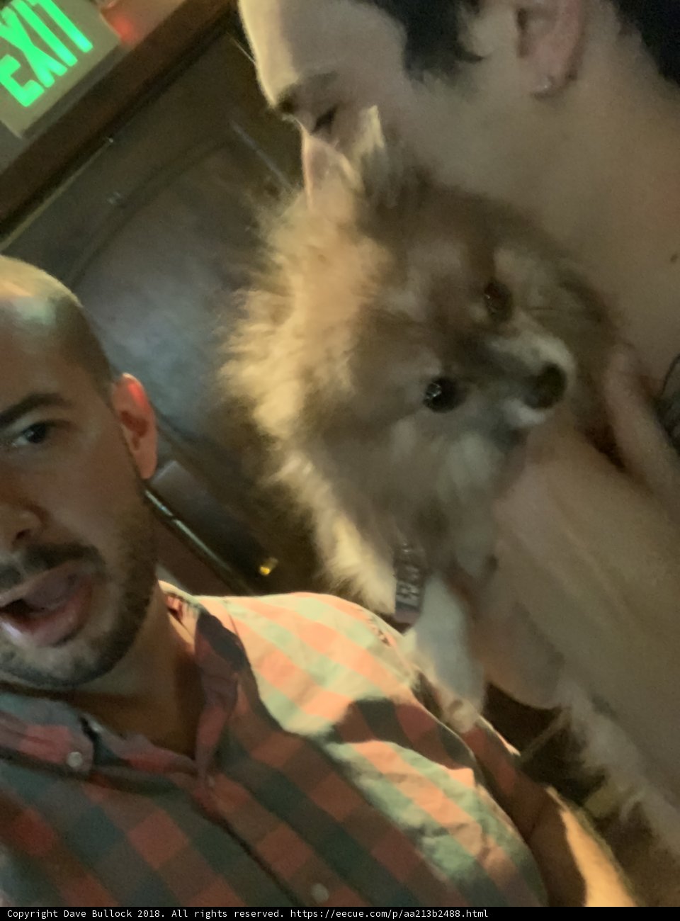 Two Men and a Pup