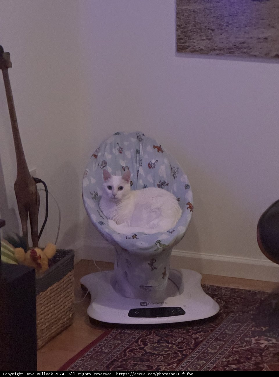 Regal Repose