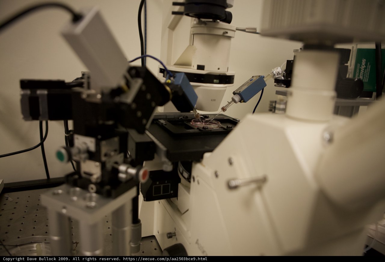 The Inner Workings of a Hospital Microscope
