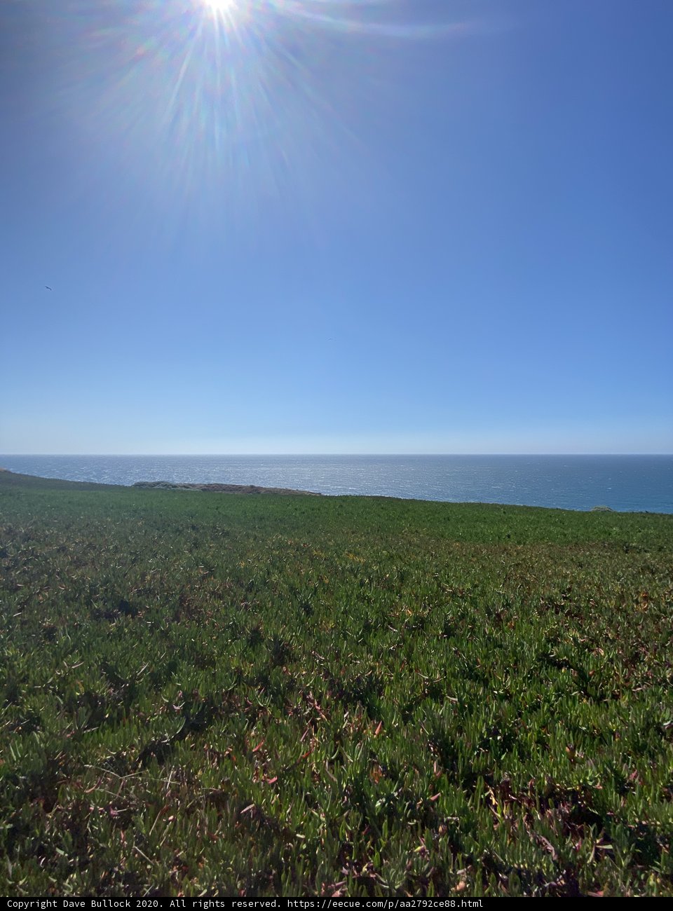 Serene Landscape in Jenner