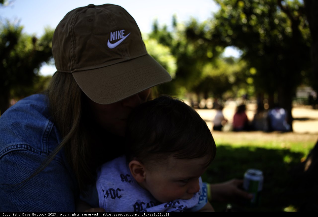 A Tender Moment in the Park