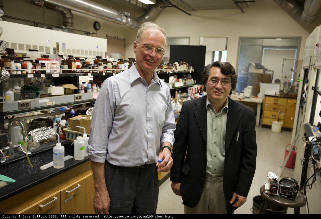 Nanotechnology in Action