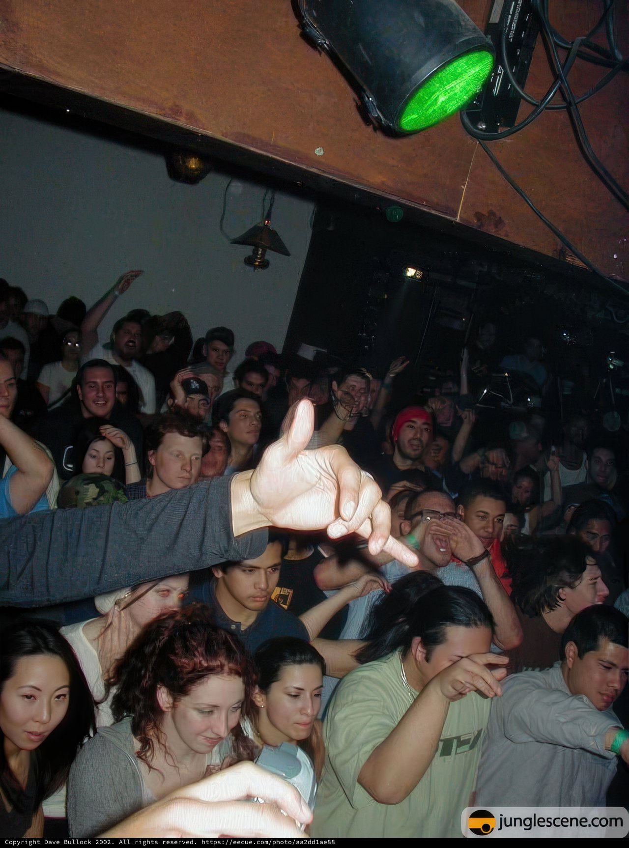 Nightclub Crowd at a Concert