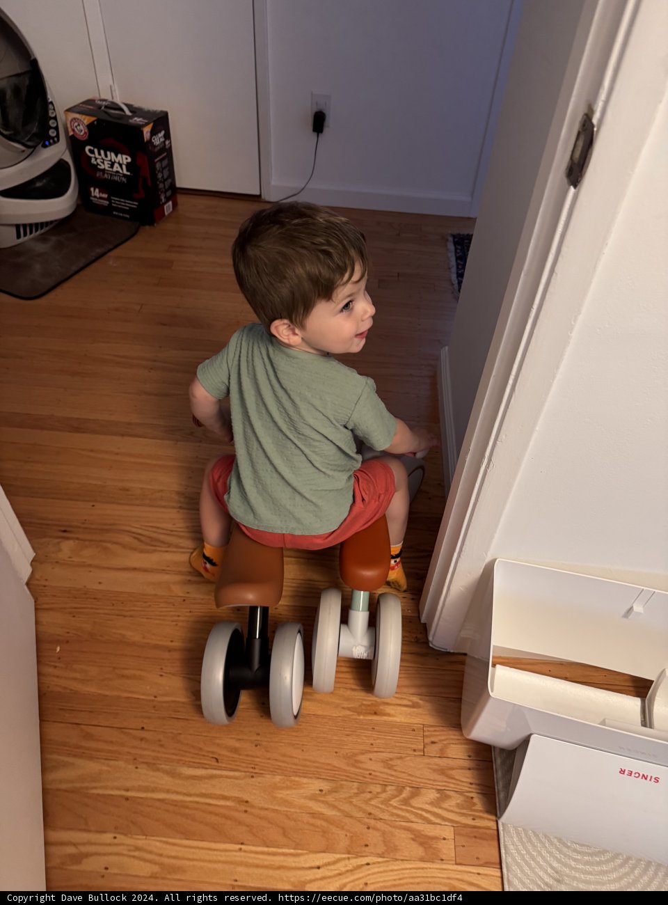 Little Racer on the Hardwood Express