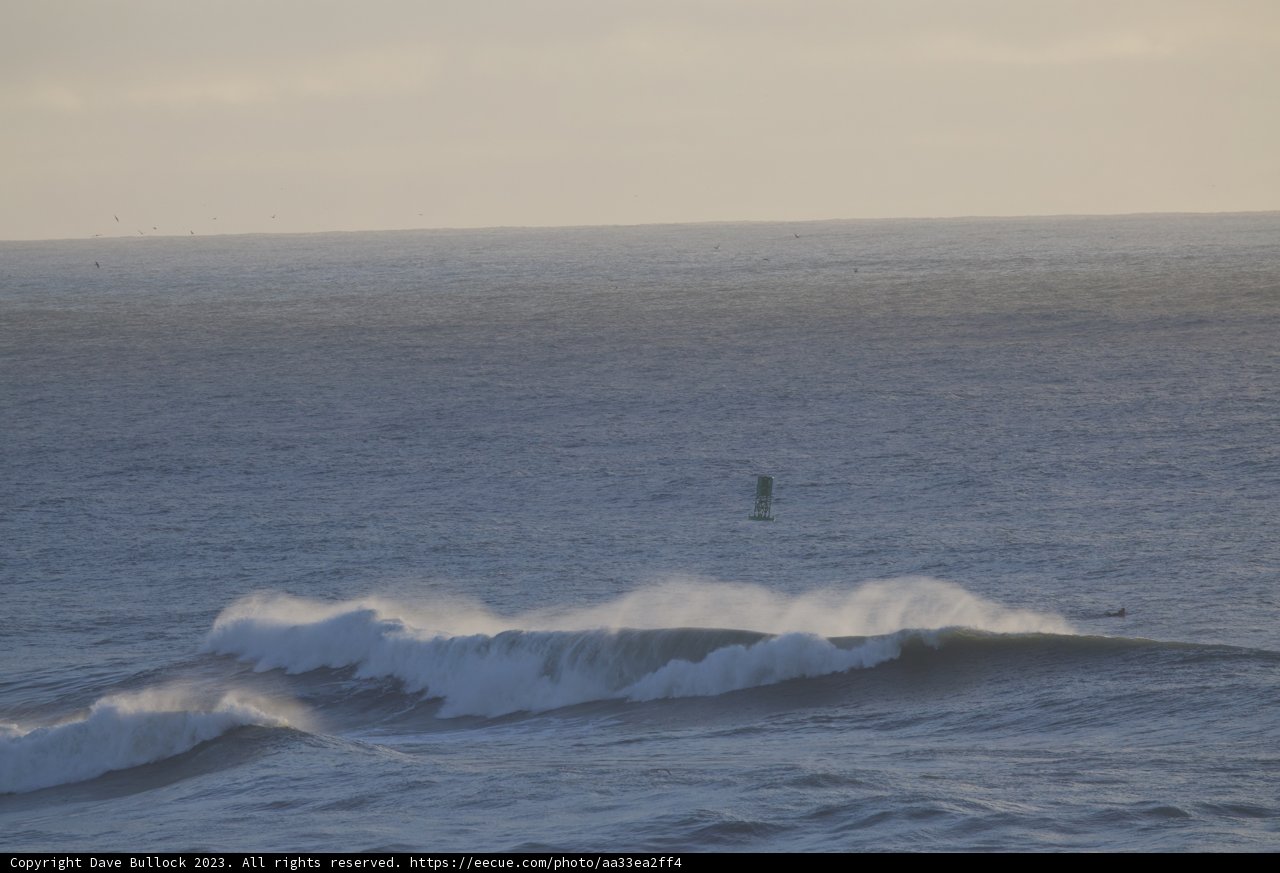 Conquering the Mighty Pacific: A Surfing Excursion