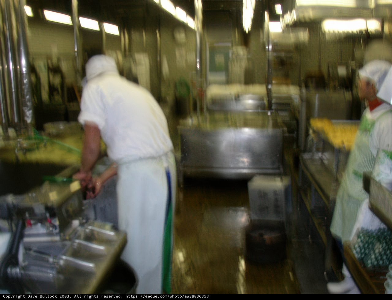 Kitchen Duty in Kyoto