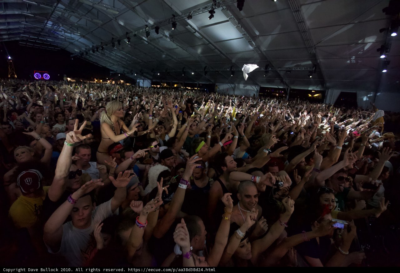 Coachella Crowd Goes Wild