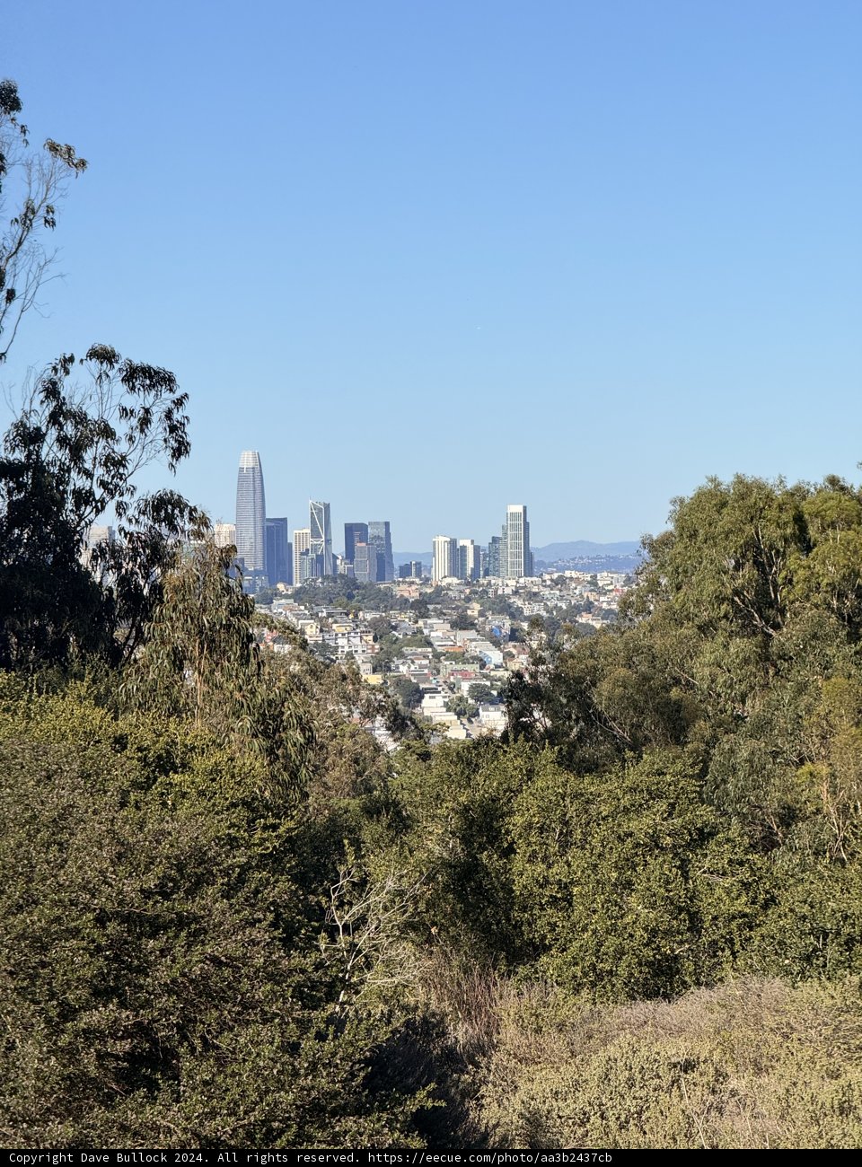 Urban Tapestry from McLaren Park