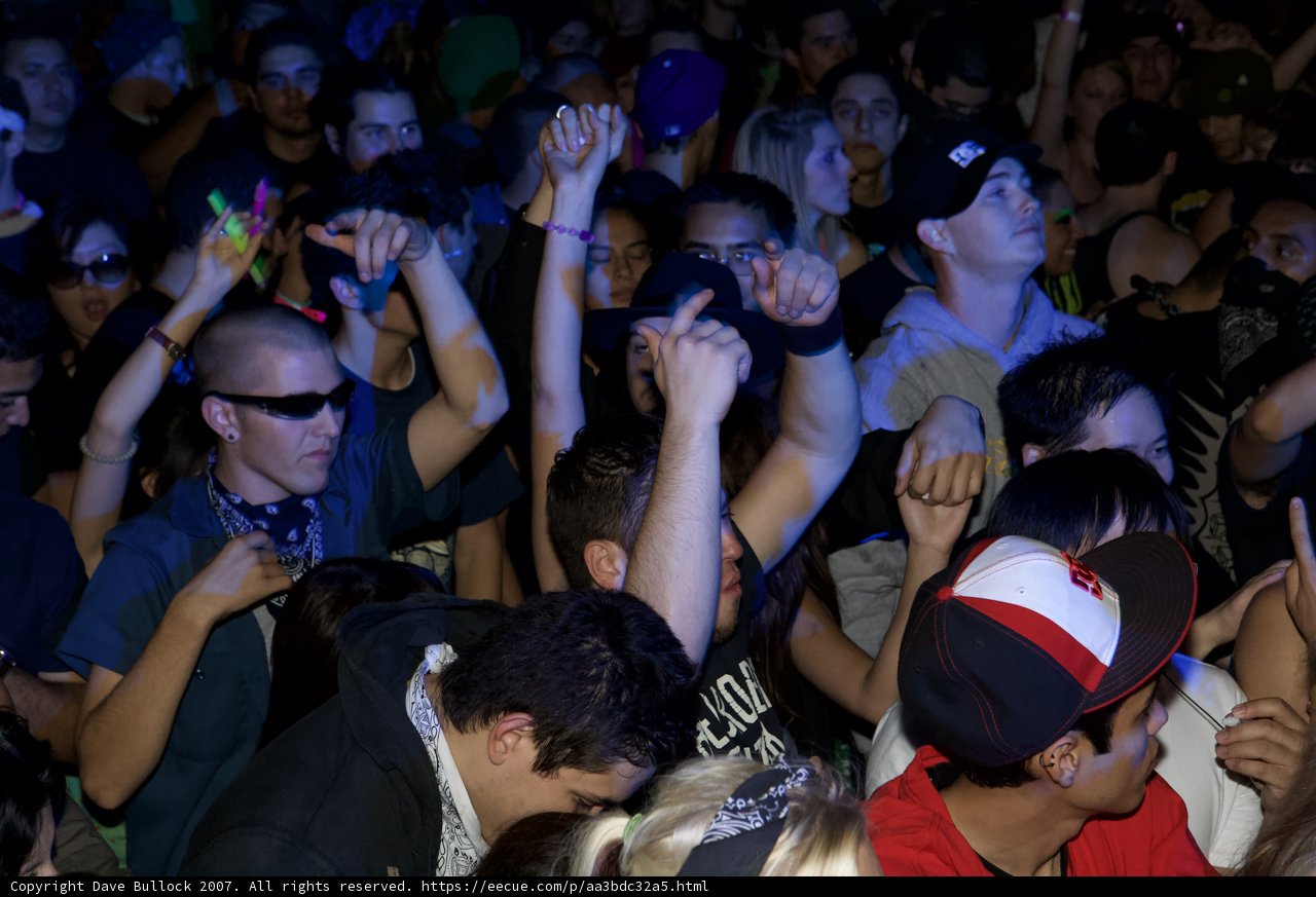 Nocturnal Groove