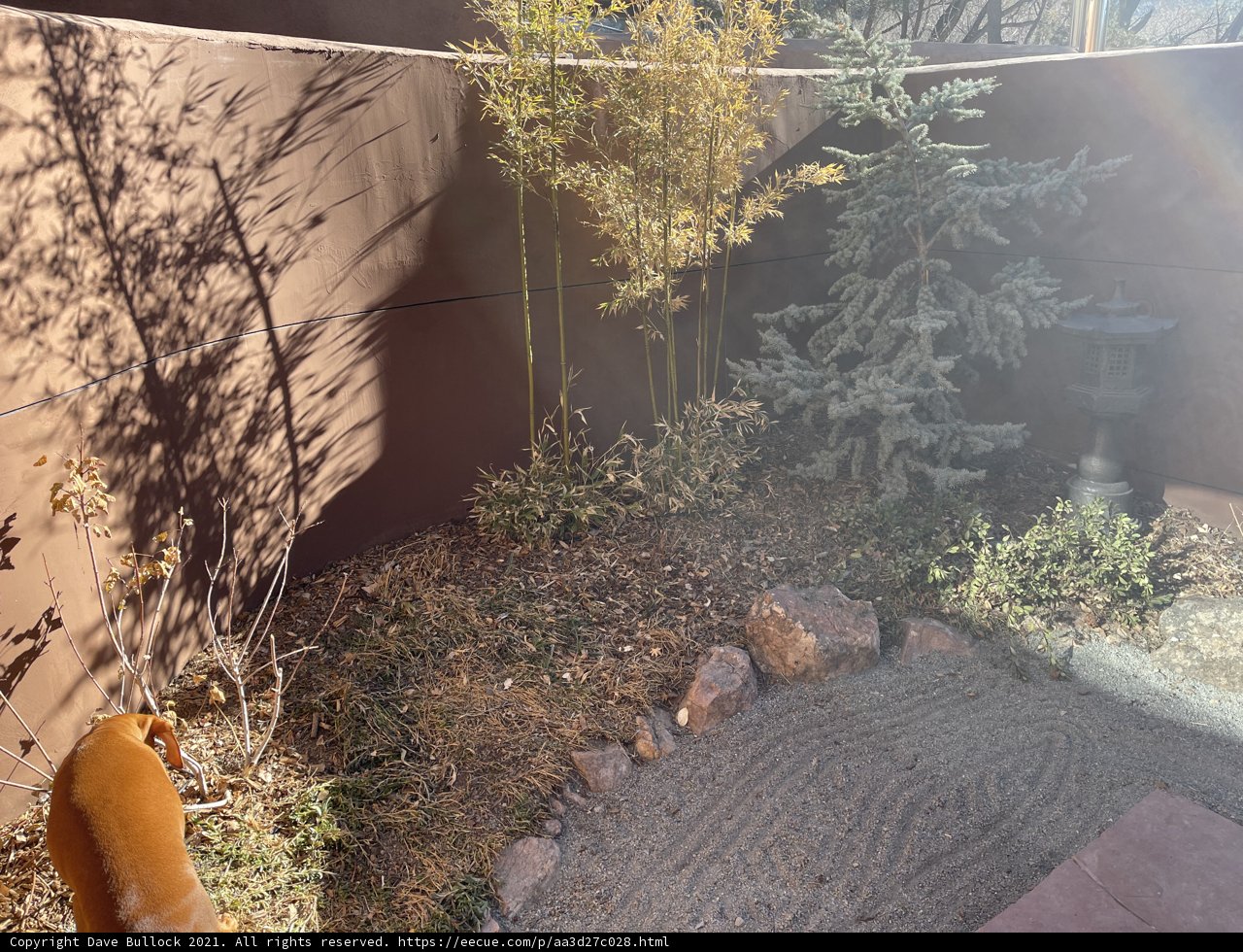 Serenity in the Backyard