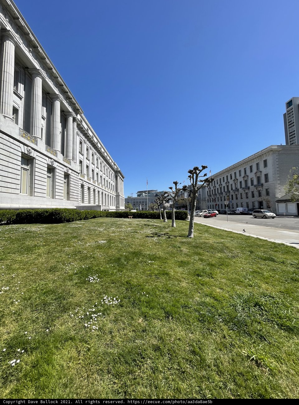 Serene View of San Francisco City Hall