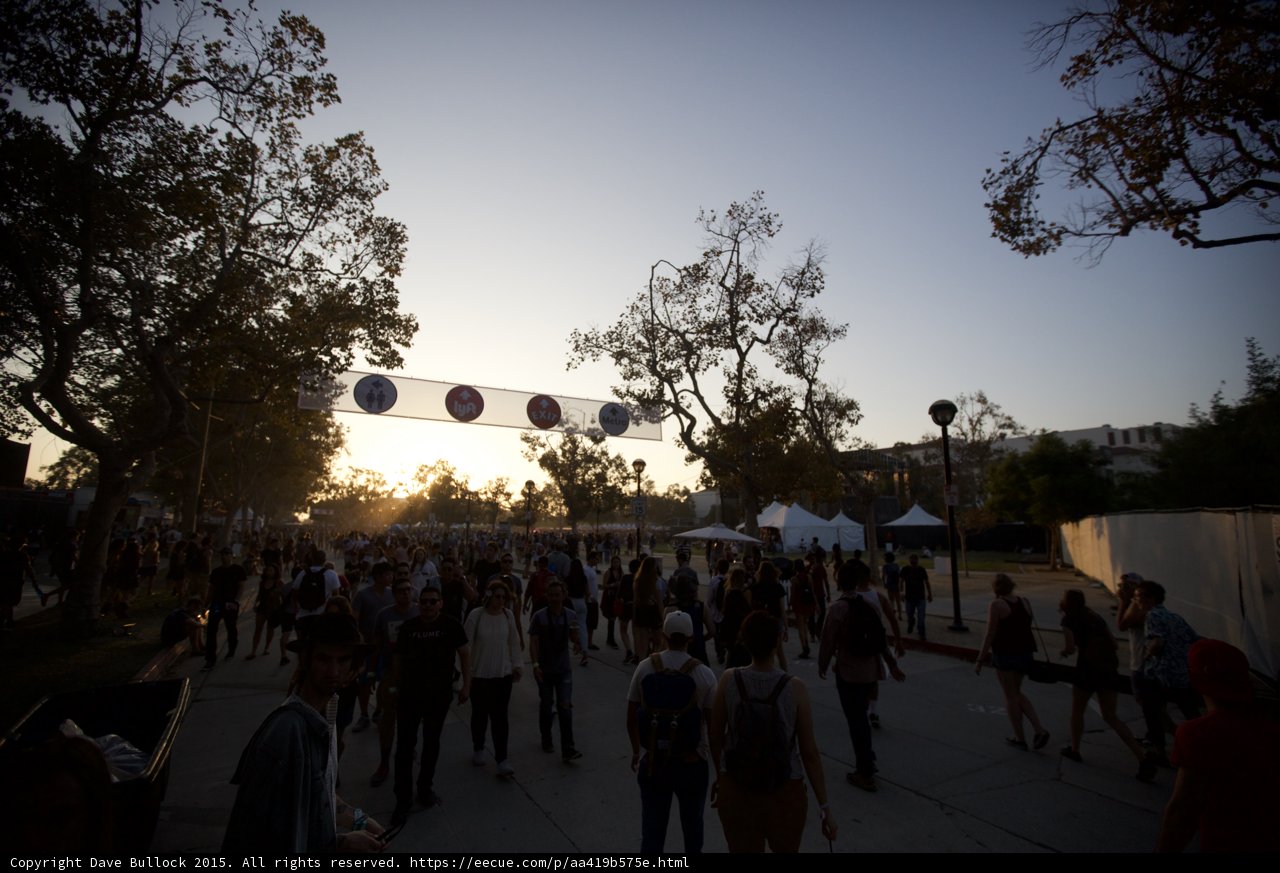 Sunset Silhouettes