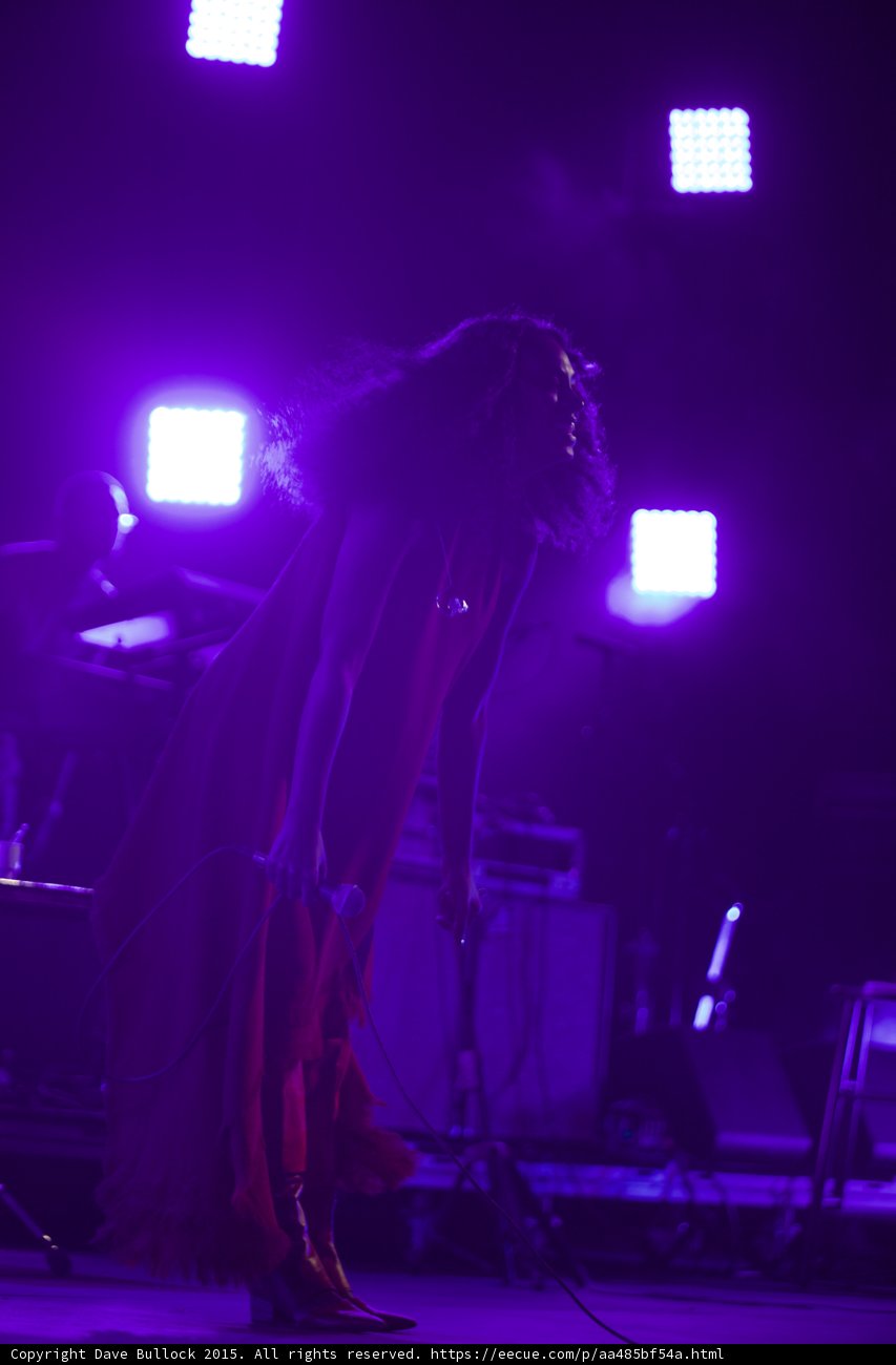 Solange Silhouette Head Tilted Back Cube Lights Purple