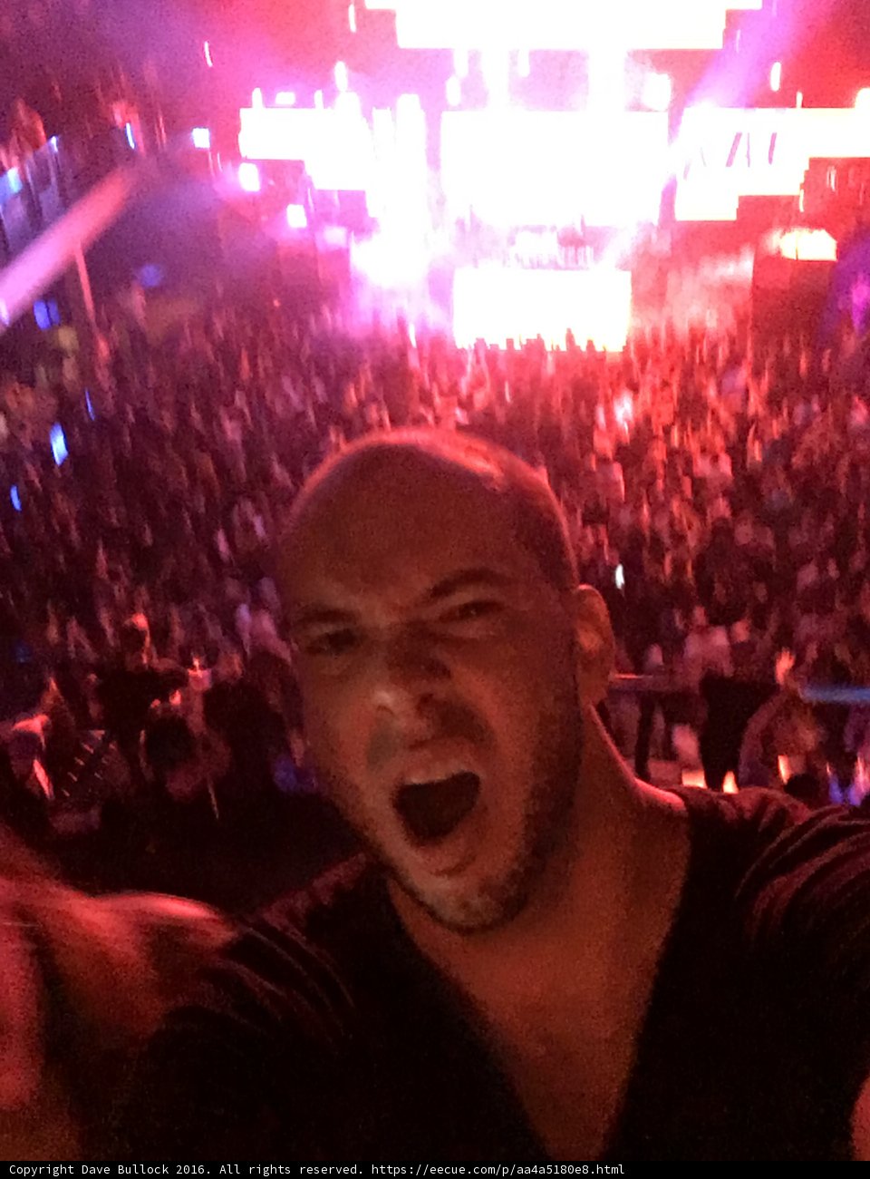 Rocking the Night Away