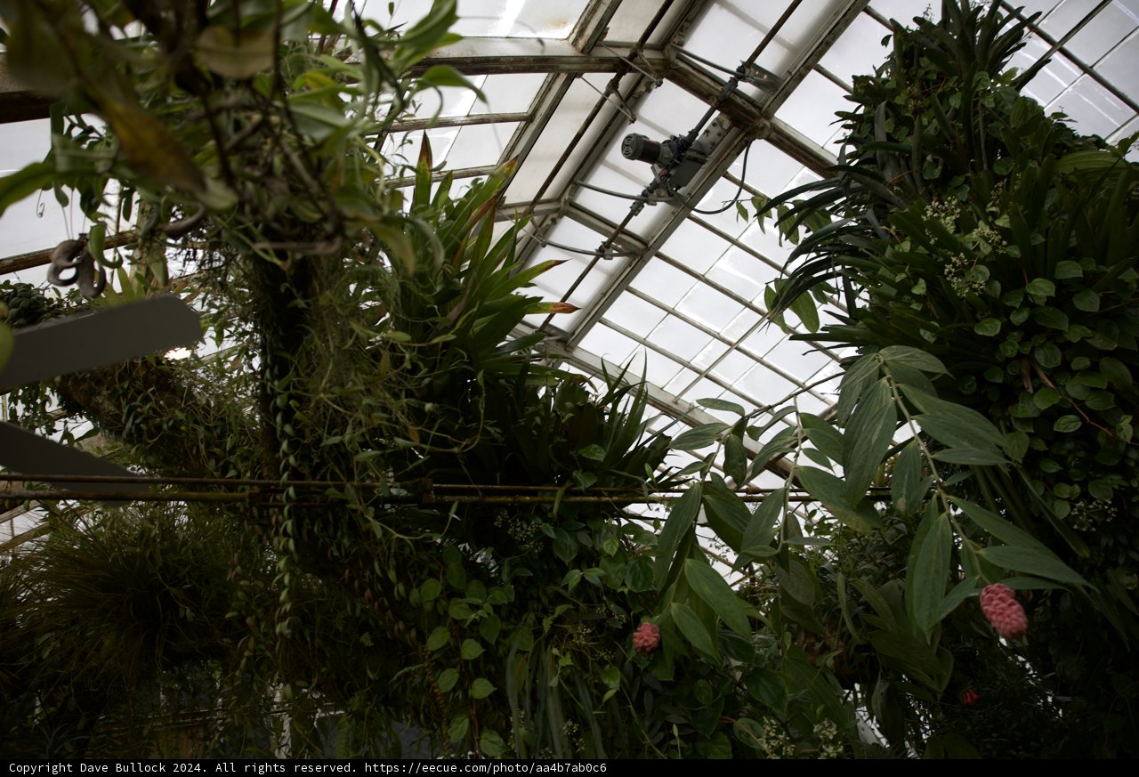 The Bountiful Conservatory