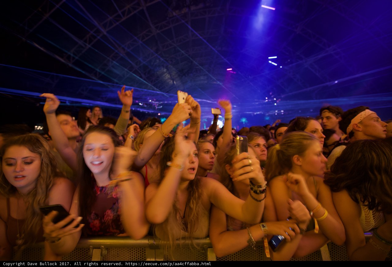 Crowd Goes Wild at Coachella 2017