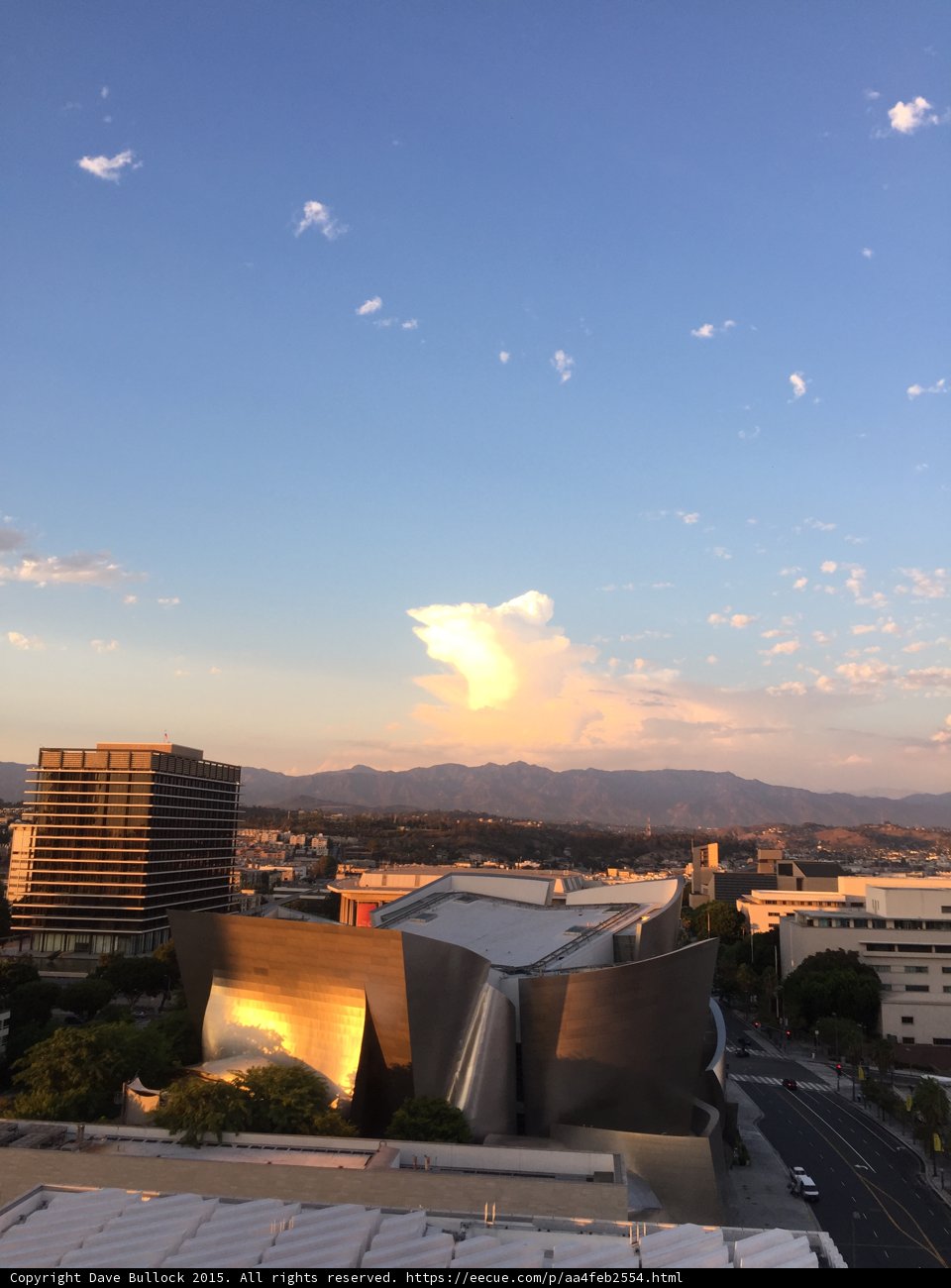 Golden Hour in the Urban Jungle
