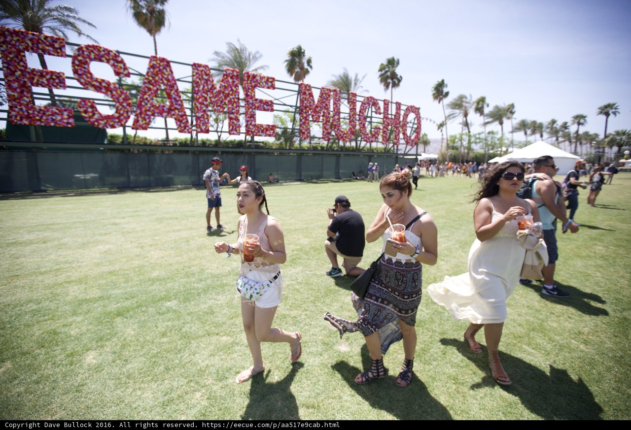 Three Women Enjoying a Sunny Day at Esmae Park