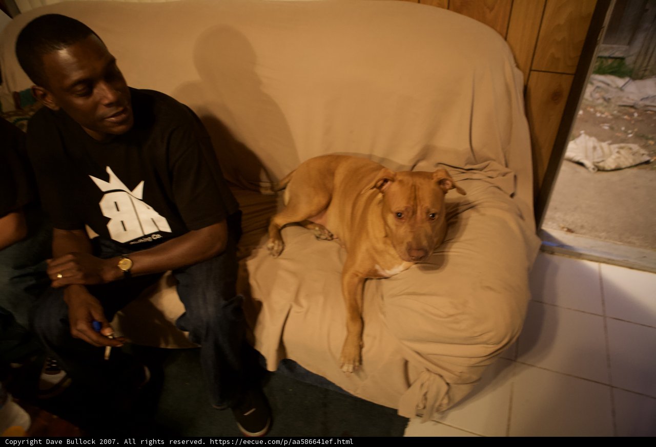 Relaxing with Fido on the Couch