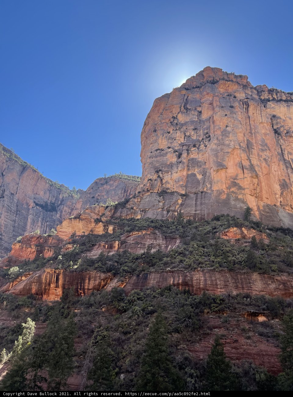 Glowing Cliff in Coconino National Forest
