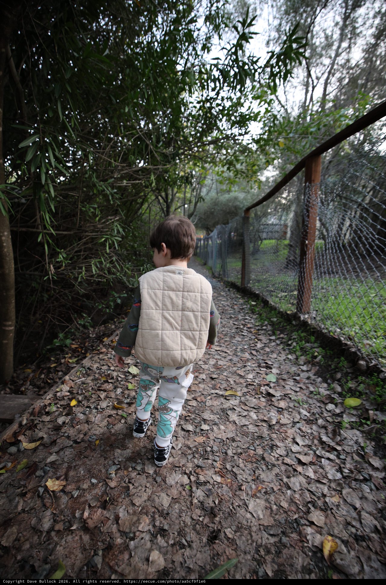 Child Exploring Autumn Path Between Trees and Fence