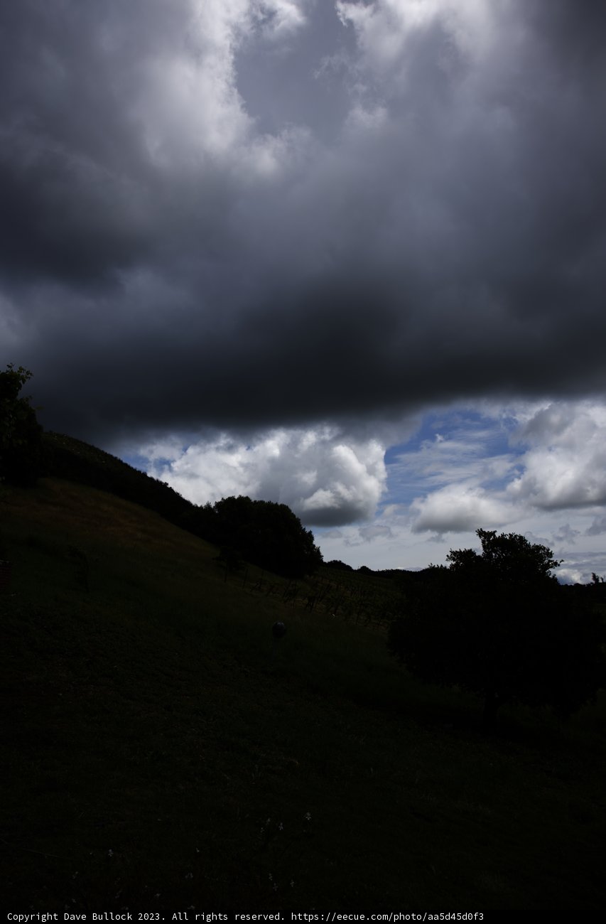 Serenity in the Sonoma Skies