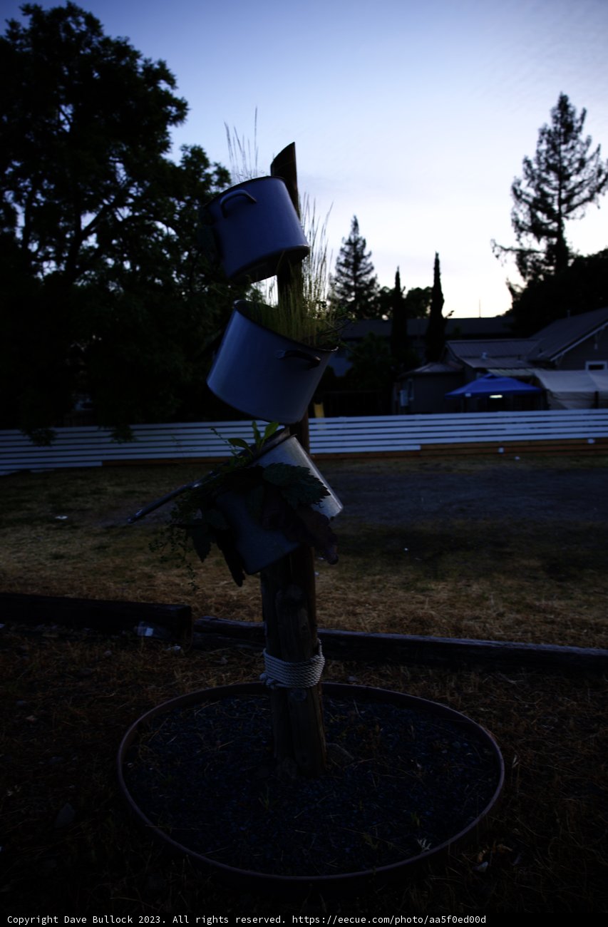 Enchanting Tree of Pots
