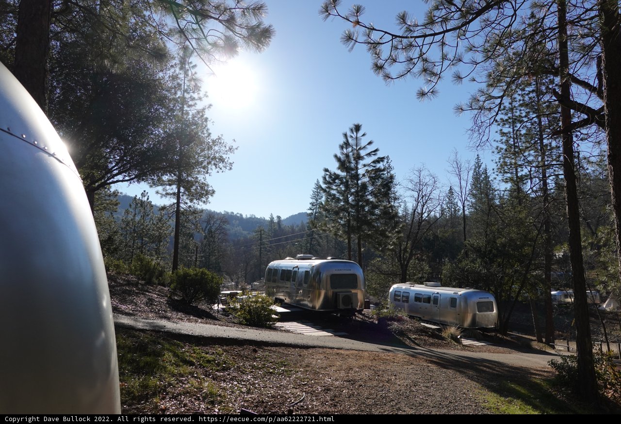 Airstream Oasis in the Woodland
