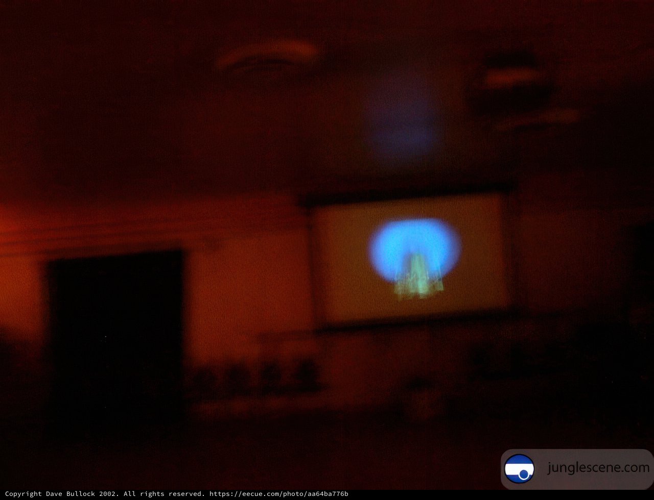 Cinema Comes to Life
