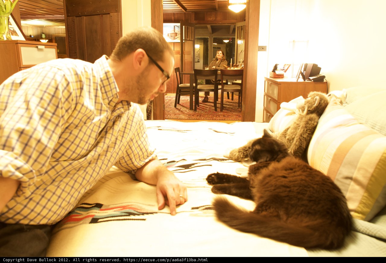 Cozy Night with My Feline Friend