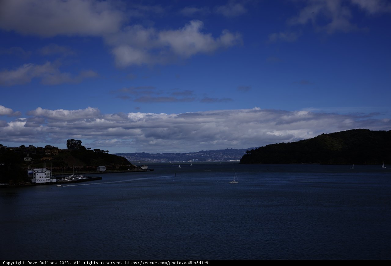 Sailing Serenity in Tiburon