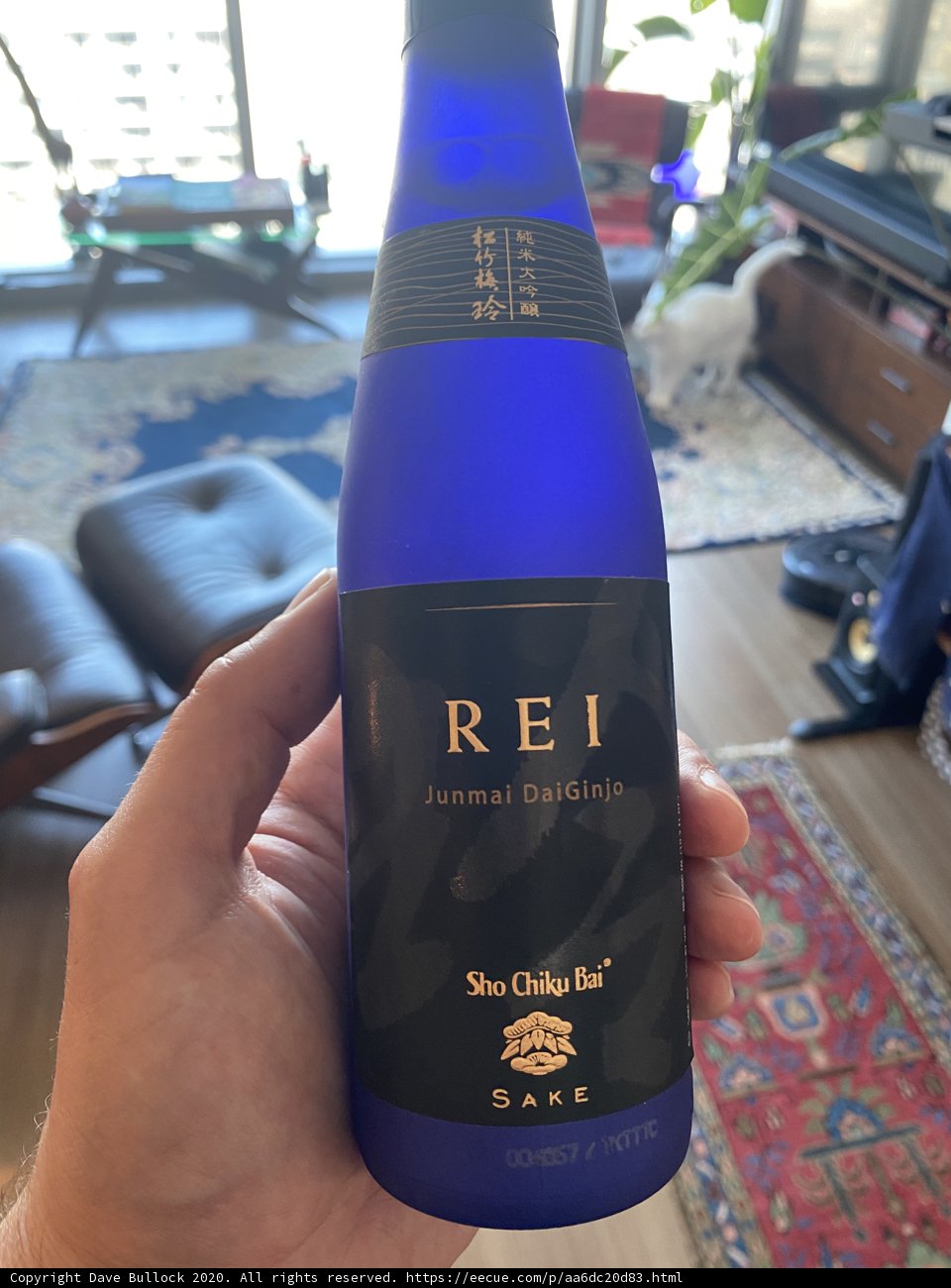 Rei Sake in Hand