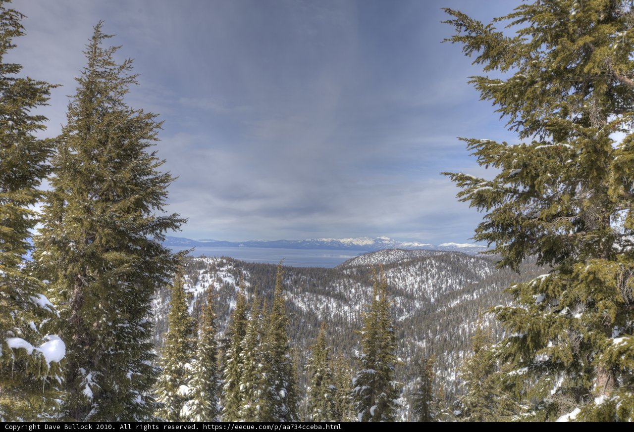 Winter Wonderland